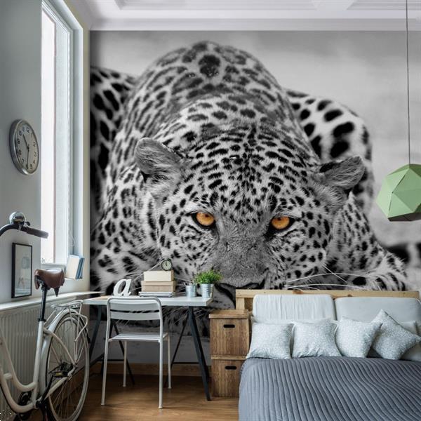 Grote foto foto vliesbehang luipaard 308x220 cm huis en inrichting behang