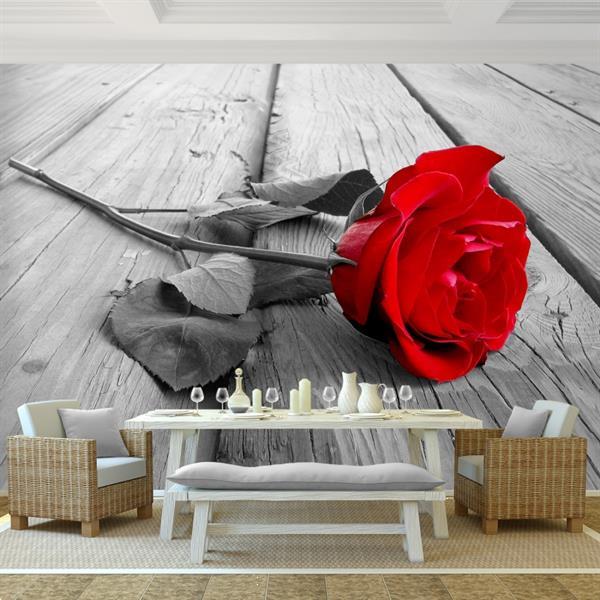 Grote foto foto vliesbehang muurposter rode roos 352x250 cm huis en inrichting behang