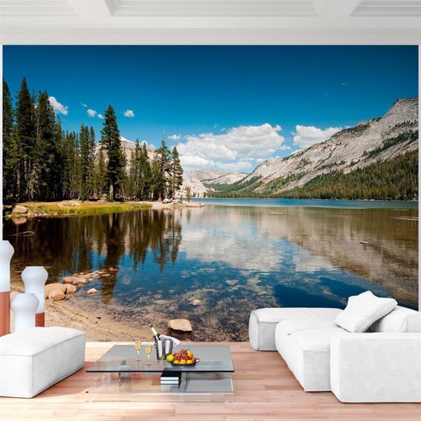 Grote foto foto vliesbehang muurposter natuur d 308x220 cm huis en inrichting behang