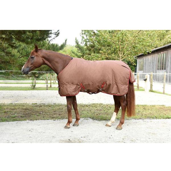 Grote foto kerbl paardendeken rugbe iceprotect 300 g 155 205 cm bruin 3 dieren en toebehoren paarden accessoires