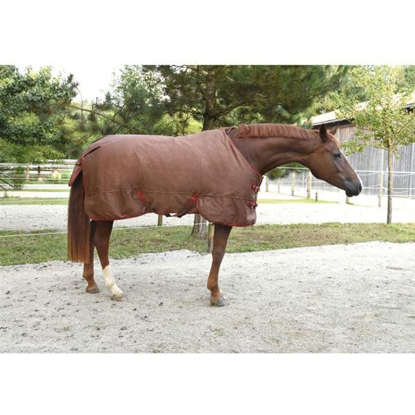 Grote foto kerbl paardendeken rugbe iceprotect 300 g 125 175 cm bruin 3 dieren en toebehoren paarden accessoires