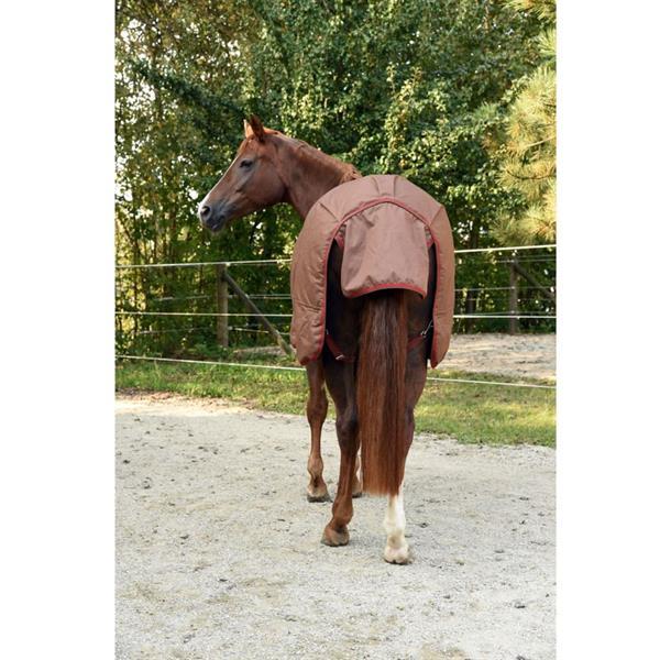Grote foto kerbl paardendeken rugbe iceprotect 300 g 135 185 cm bruin 3 dieren en toebehoren paarden accessoires