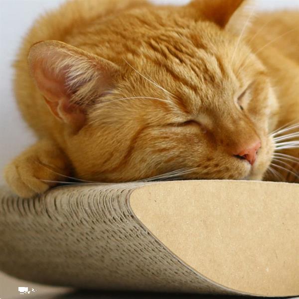 Grote foto mykotty kattenkrabber tobi 59x25x6 9 cm bruin 3088 dieren en toebehoren katten accessoires