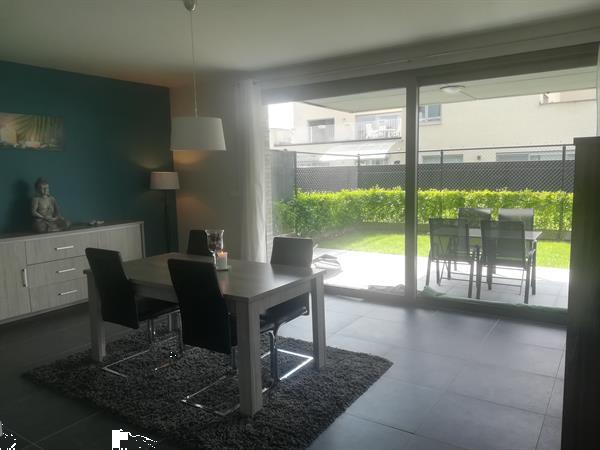 Grote foto gelijksvloersduplexapp. te huur wetteren huizen en kamers appartementen en flats