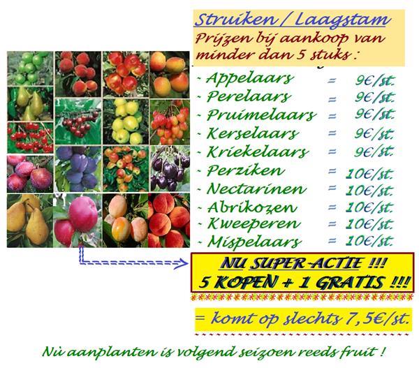 Grote foto alle fruitbomen kleinfruit tuin en terras bomen en struiken