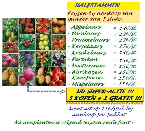 Grote foto alle fruitbomen kleinfruit tuin en terras bomen en struiken