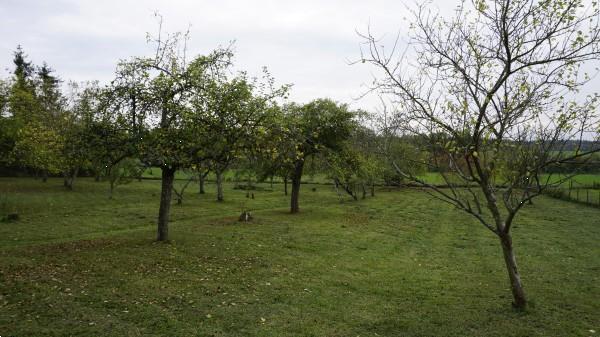 Grote foto houten huis met ca. 5000m2 grond aan bosrand caravans en kamperen stacaravans