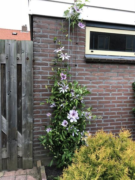 Grote foto inspiratie .. voor een groener 2020 clematis tuin en terras klimplanten