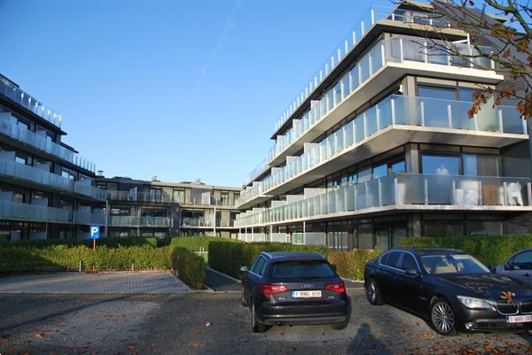 Grote foto appartement nieuwpoort juli augustus vakantie belgi