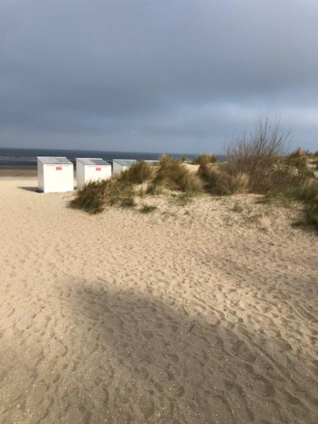 Grote foto oostduinkerke nieuwpoort villa zeedijk 200 m vakantie belgi