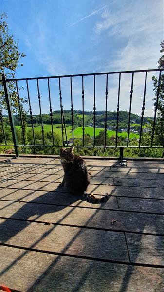 Grote foto belgie luxevakantiehuizen te huur in ardennen vakantie belgi