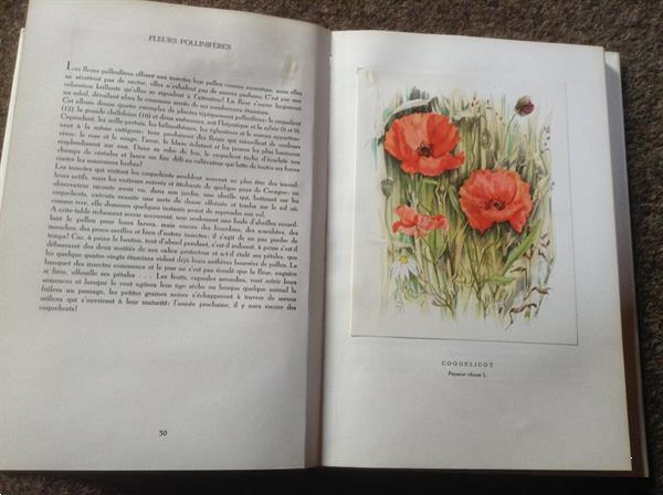 Grote foto franse boek van bloemsoorten fleurs sur ton chemin boeken natuur