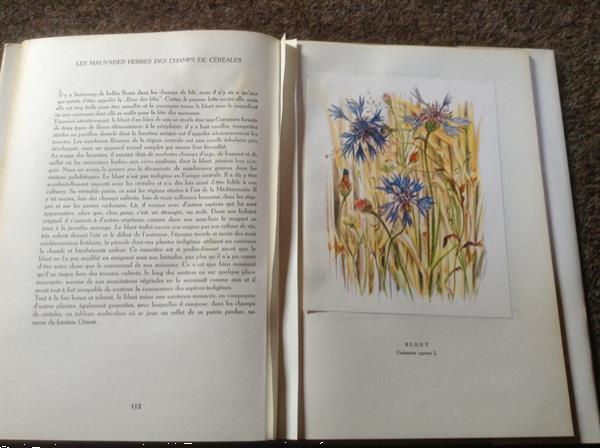 Grote foto franse boek van bloemsoorten fleurs sur ton chemin boeken natuur