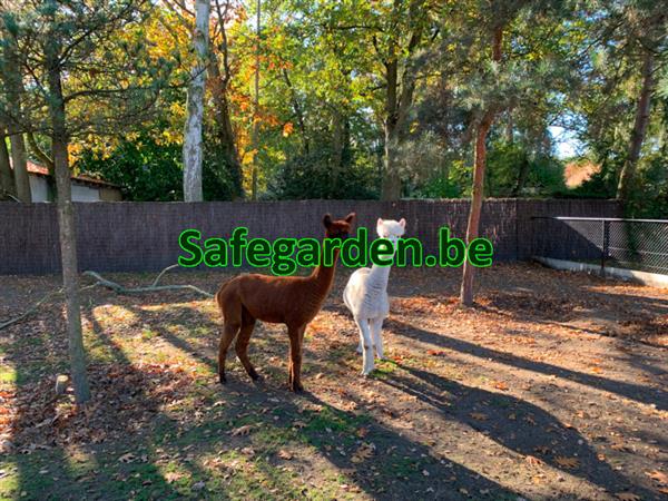 Grote foto spaanse heidematten safegarden extra dik 25 tuin en terras hekken en schuttingen