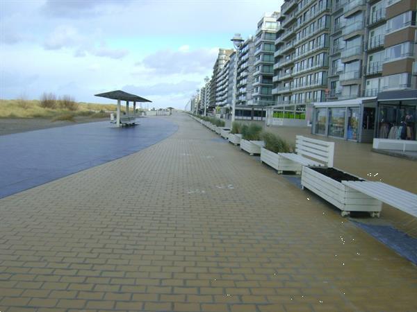 Grote foto 4 p nieuwpoort grote studio vlakb. zeedijk zonneka vakantie belgi