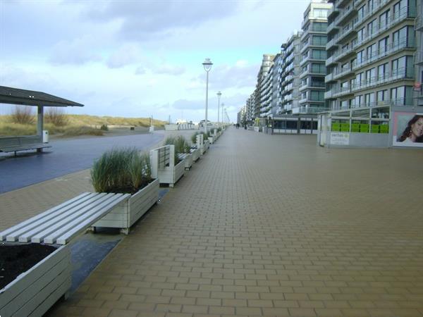 Grote foto grote studio vlakbij zeedijk zonnekant nieuwpoort vakantie belgi