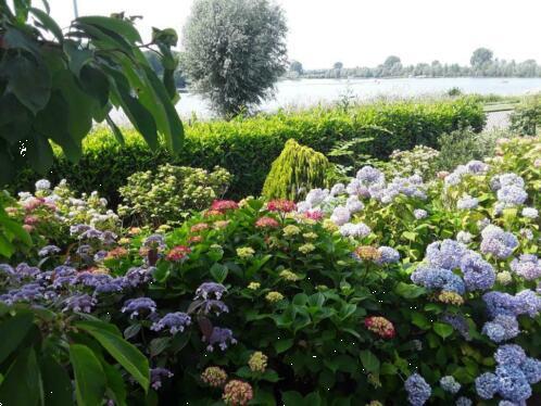 Grote foto watersproters chalet bij jachthaven aan de maas vakantie nederland zuid