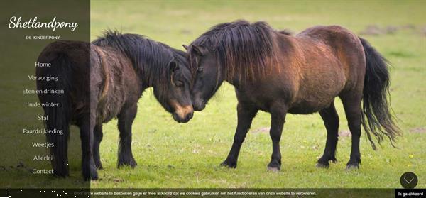 Grote foto webdesign goedkope website laten maken diensten en vakmensen webdesigners en domeinnamen