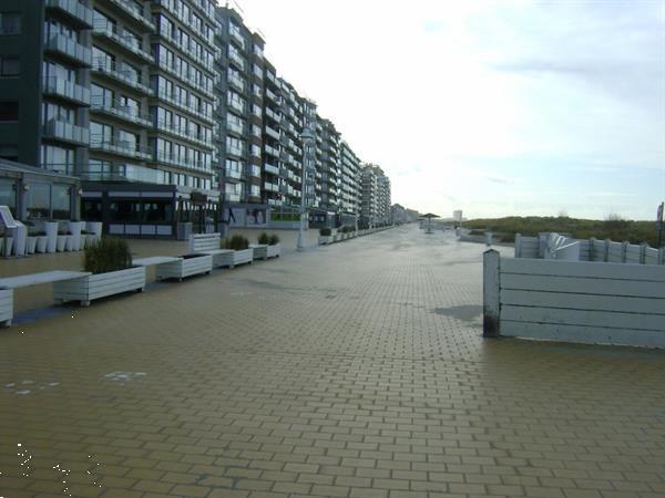 Grote foto zonnekant nieuwpoort grote studio vlakbij zeedijk vakantie belgi