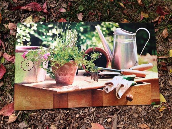 Grote foto deurmat vloermat van kunststof image planten tafel antiek en kunst curiosa en brocante