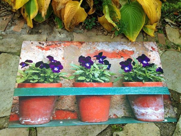 Grote foto mat voor terras rubber en vilt weerbestendig viooltjes antiek en kunst curiosa en brocante