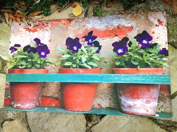 Grote foto mat voor terras rubber en vilt weerbestendig viooltjes antiek en kunst curiosa en brocante