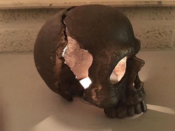 Grote foto 1 anatomische schedel uit gietijzer antiek en kunst curiosa en brocante
