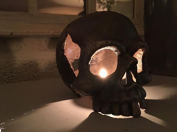 Grote foto 1 anatomische schedel uit gietijzer antiek en kunst curiosa en brocante