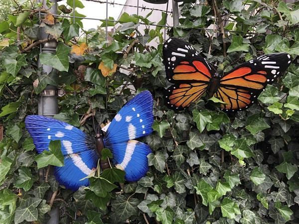 Grote foto vlinder geheel metaal en vol in kleur. tuin en terras sierplanten