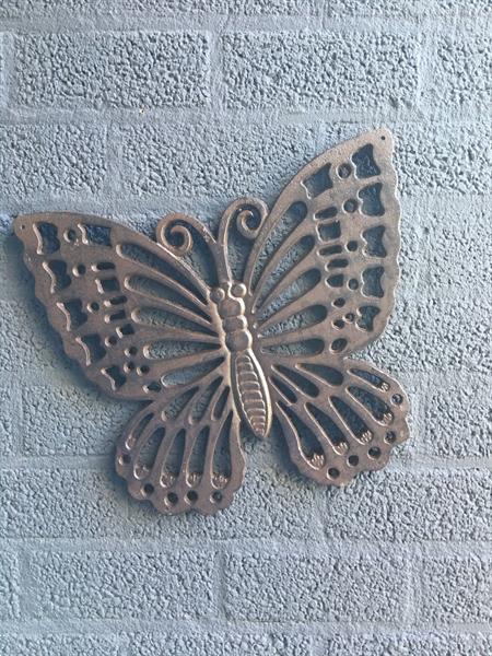 Grote foto vlinder gietijzer super mooi verzamelen beelden en beeldjes