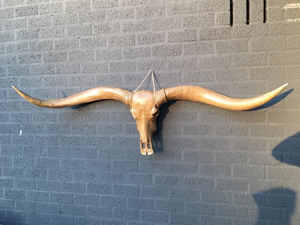 Grote foto super grote longhorn woodlook stierenschedel met lange horen verzamelen beelden en beeldjes