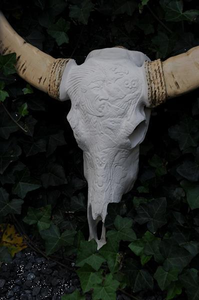 Grote foto stierenschedel western gesneden in creme ivoor met horens va antiek en kunst curiosa en brocante
