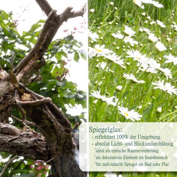 Grote foto ijzeren raam venster met deur klapbaar gedeelte antiek antiek en kunst curiosa en brocante