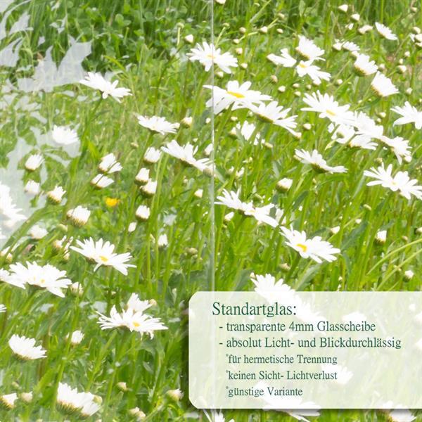 Grote foto ijzeren raam venster met deur klapbaar gedeelte antiek antiek en kunst curiosa en brocante