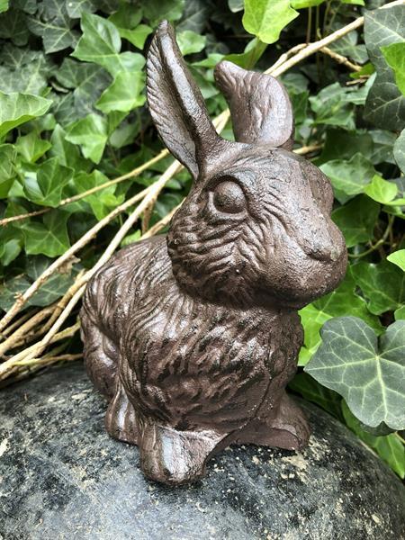 Grote foto konijn gietijzer zittend in de tuin bij de vijver of aan h tuin en terras overige tuin en terras