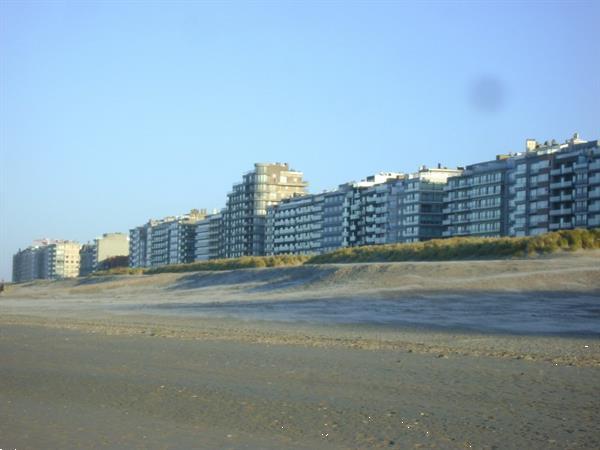 Grote foto vlakbij zeedijk vakantie studio nieuwpoort zonnek vakantie belgi