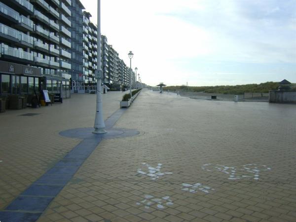 Grote foto vlakbij zeedijk vakantie studio nieuwpoort zonnek vakantie belgi