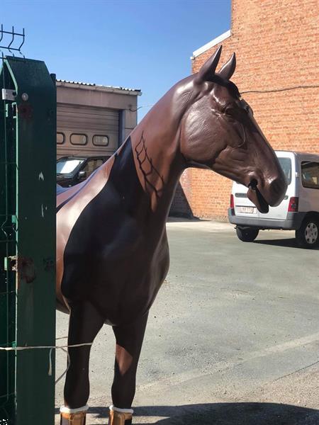 Grote foto decoratief levensgroot plastic paard te koop dieren en toebehoren paarden accessoires