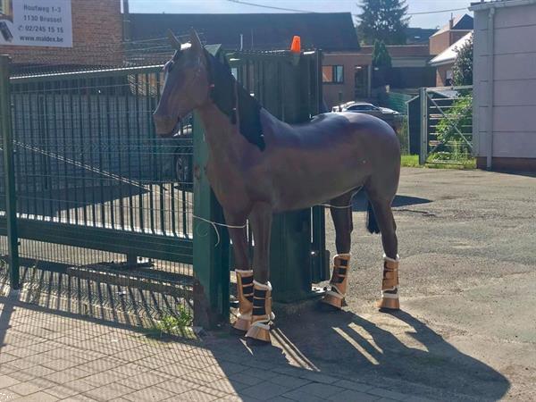 Grote foto decoratief levensgroot plastic paard te koop dieren en toebehoren paarden accessoires