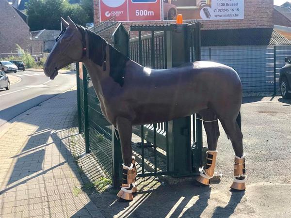 Grote foto paspoppen decoratie te koop zakelijke goederen etalagepoppen en etalagefiguren