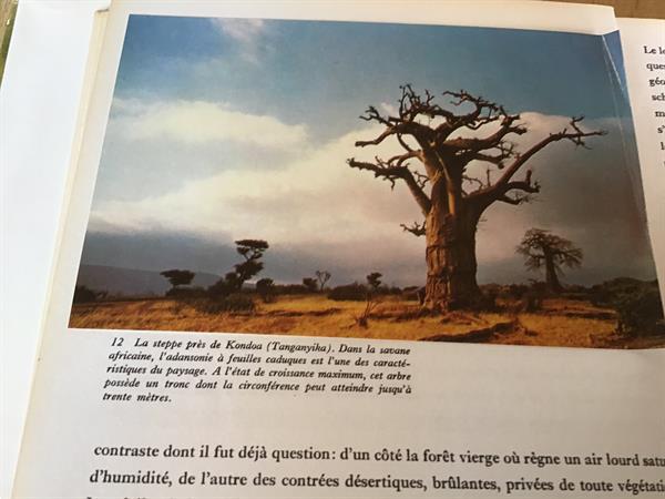 Grote foto afrika het oerwoud woestijn steppe een enorme .. boeken natuur