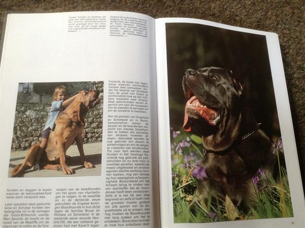 Grote foto boek van de hond lieve huisdier mensenvriend boeken dieren en huisdieren