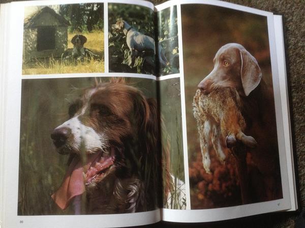 Grote foto boek van de hond lieve huisdier mensenvriend boeken dieren en huisdieren