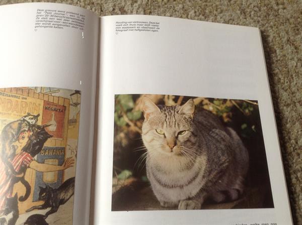 Grote foto de wondere wereld van de katten van poeslief tot boeken dieren en huisdieren