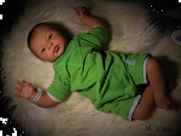 Grote foto reborn baby verzamelen overige verzamelingen