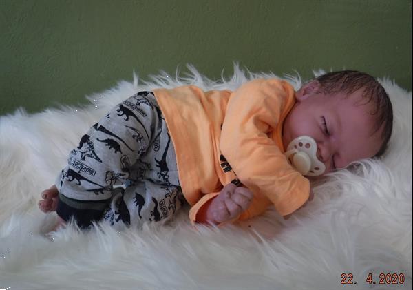 Grote foto reborn baby verzamelen overige verzamelingen