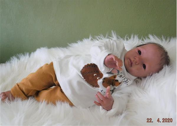 Grote foto reborn baby verzamelen overige verzamelingen