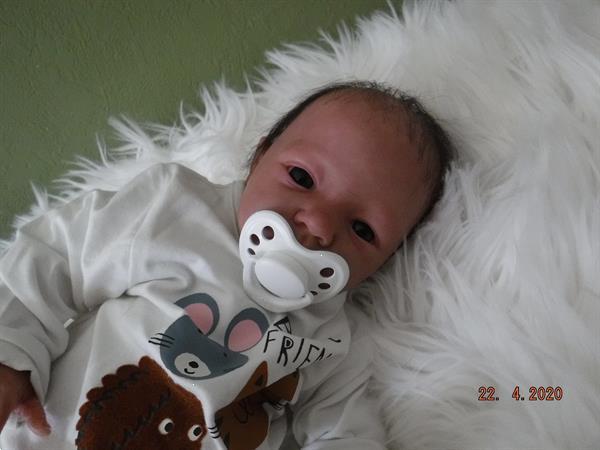 Grote foto reborn baby verzamelen overige verzamelingen