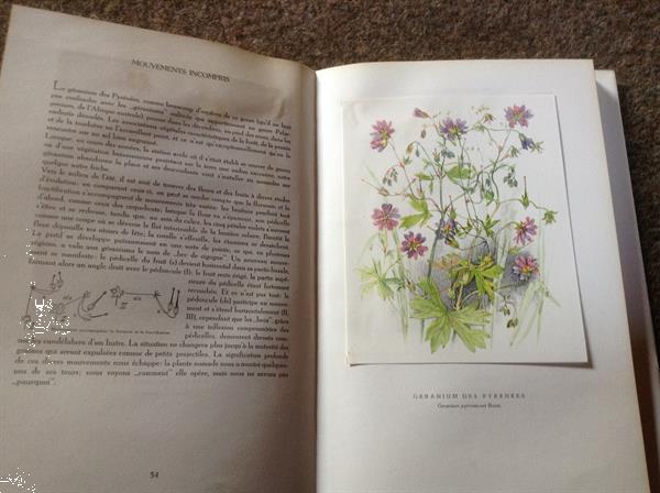 Grote foto prachtige franse boek van bloemsoorten fleurs boeken natuur