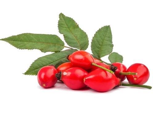 Grote foto rozenbottelolie rosehip olie groothandel beauty en gezondheid overige beauty en gezondheid